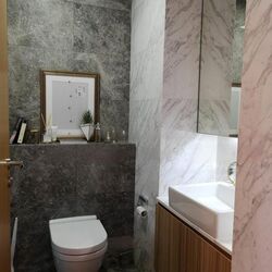 The Peak @ Cairnhill I (D9), Apartment #454524311